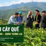 chiến dịch trồng 1tr cây quế