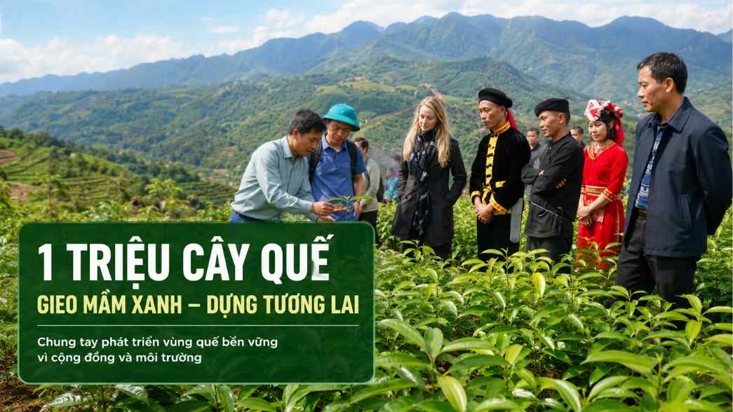Gieo 1 Triệu Cây Quế – Dựng Triệu Ước Mơ