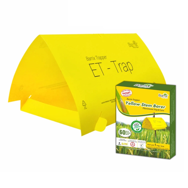 bẫy pherommone cho sâu đục thân đàn hương