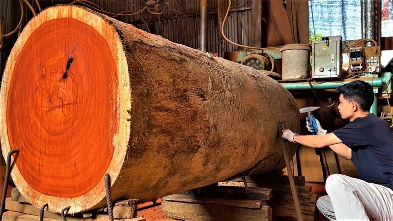 cách xẻ gỗ đàn hương