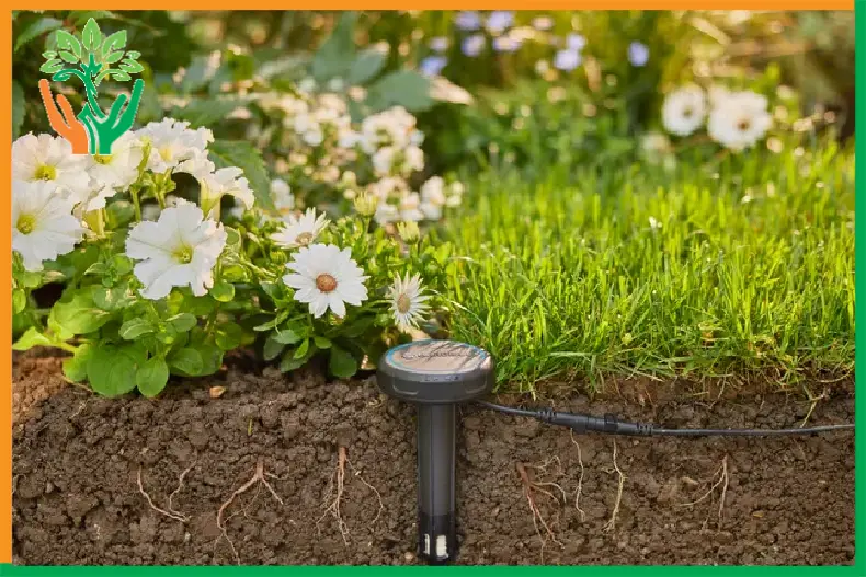 cảm biến áp suất đất cho vườn đàn hương