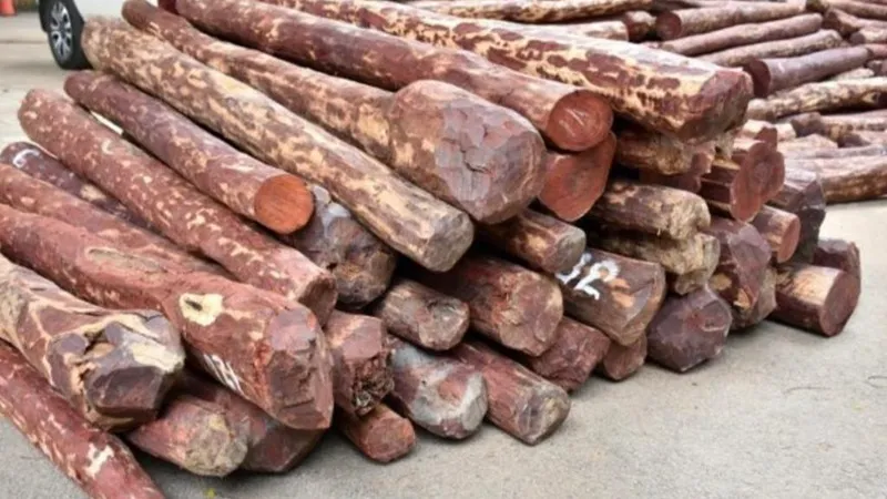chế biến gỗ đàn hương