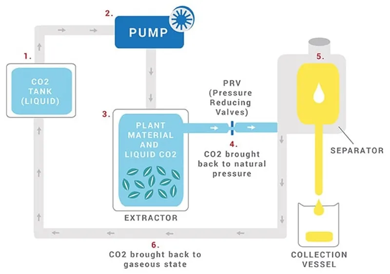 chiết xuất co2 tinh dầu đàn hương