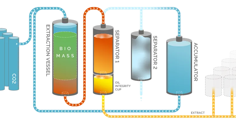 chiết xuất co2 tinh dầu đàn hương