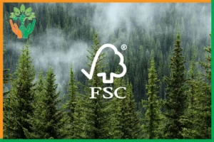 chứng nhận fsc cho rừng đàn hương