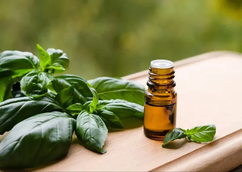 đánh giá cảm quan mùi hương của đàn hương