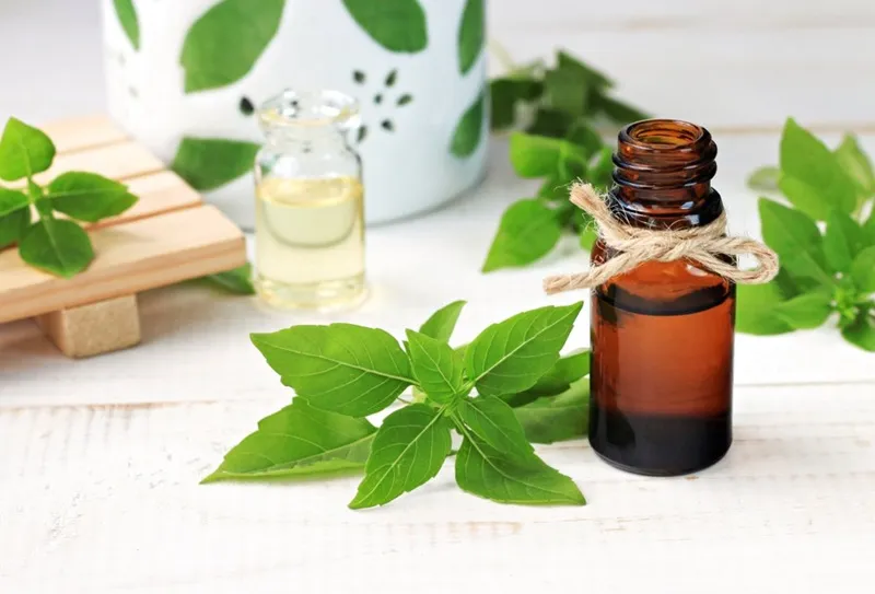 đánh giá cảm quan mùi hương của đàn hương