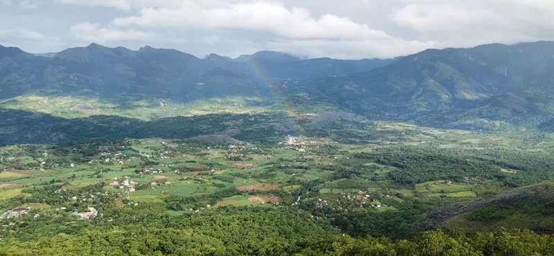 du lịch trải nghiệm rừng đàn hương