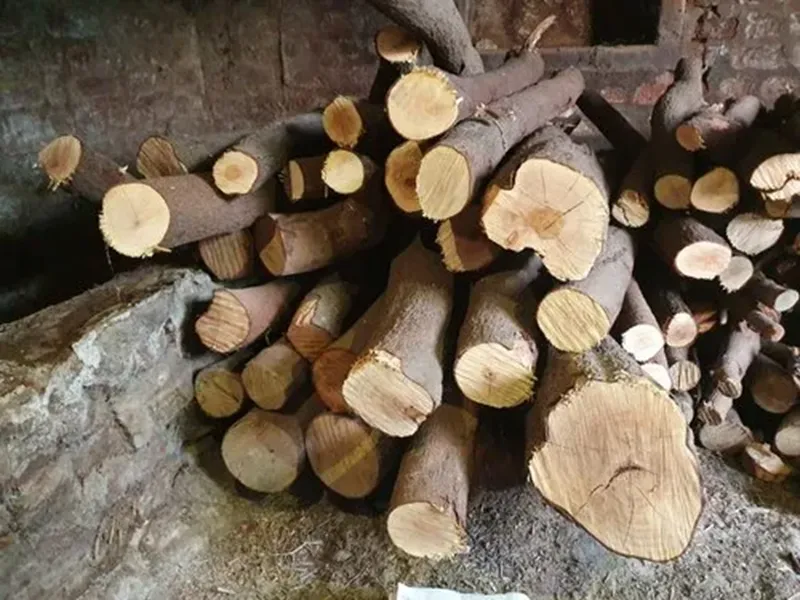giá gỗ đàn hương hiện nay