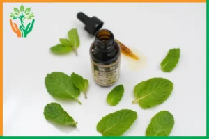 hàm lượng santalol tinh dầu đàn hương