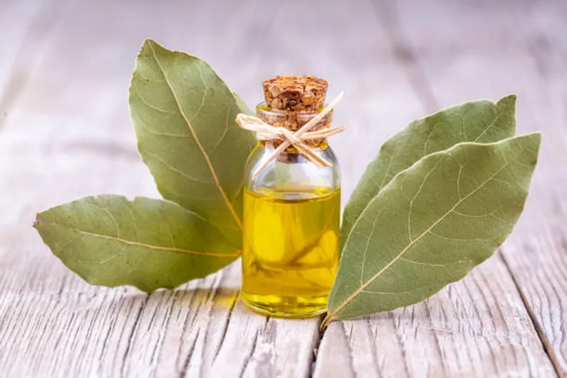 hàm lượng santalol tinh dầu đàn hương