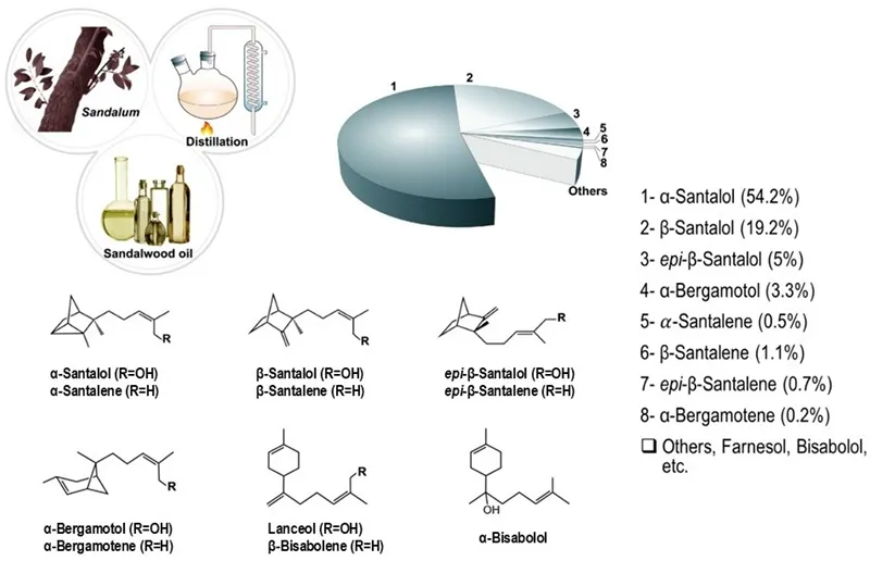 hàm lượng santalol tinh dầu đàn hương