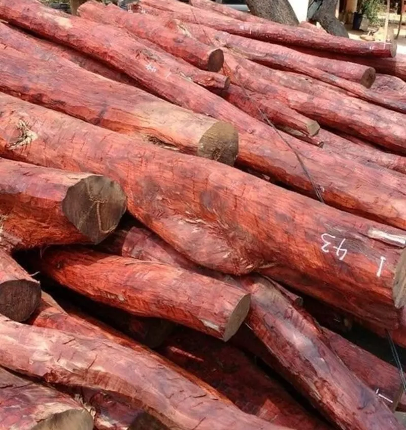 màu gỗ đàn hương