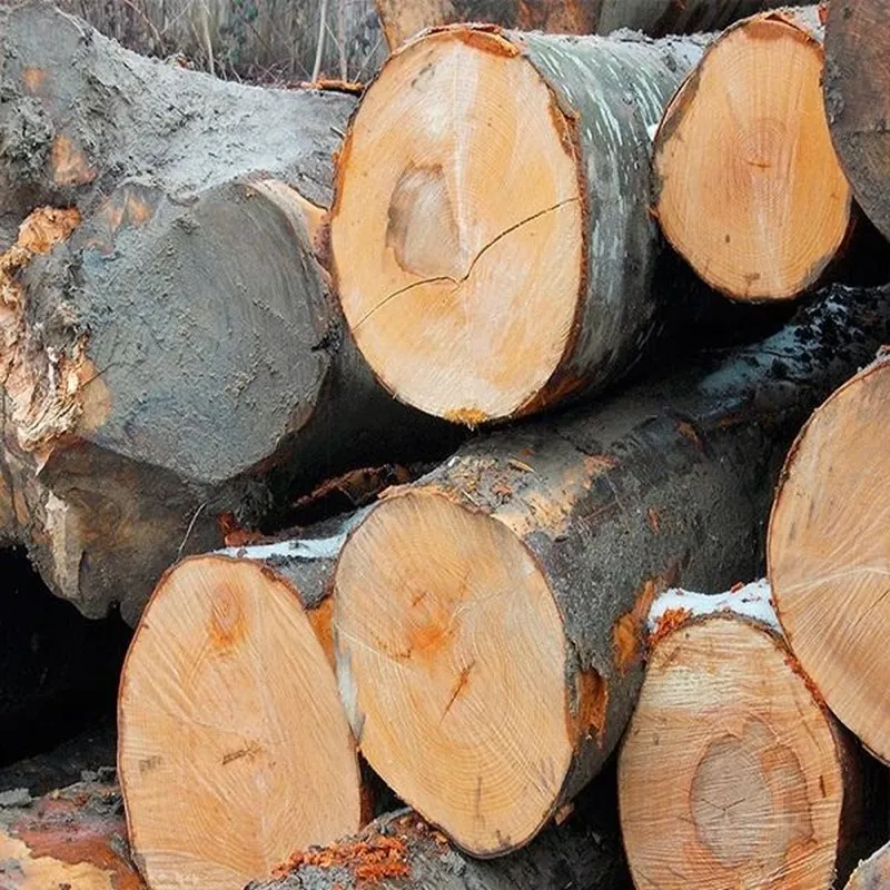 mẫu hợp đồng bao tiêu gỗ đàn hương