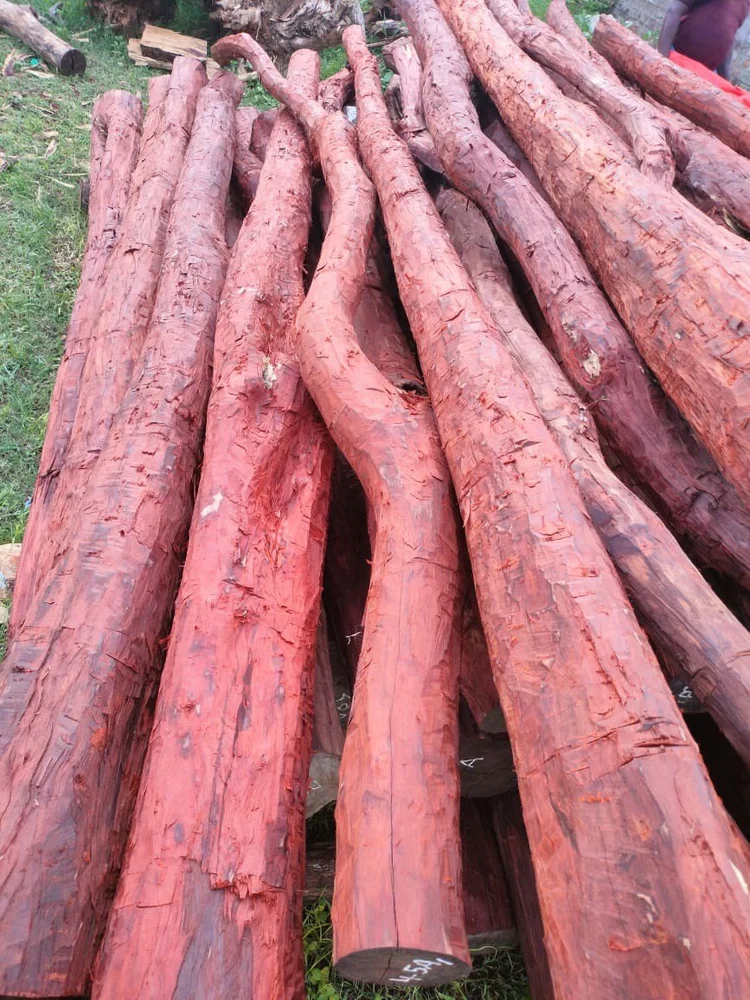 mẫu hợp đồng bao tiêu gỗ đàn hương