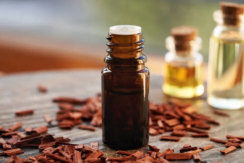 mua tinh dầu đàn hương ở đâu