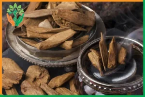 mùi đàn hương có giúp ngủ ngon không