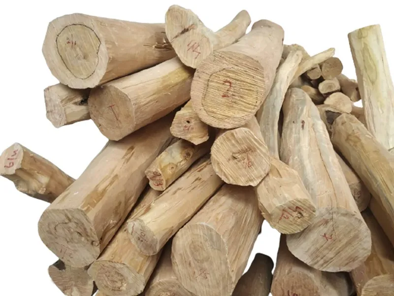 phân biệt gỗ đàn hương thật giả