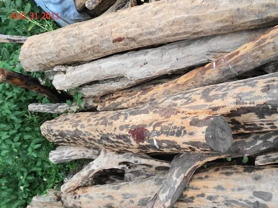 sản phẩm giả từ gỗ đàn hương