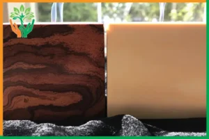 so sánh các loại đàn hương khác nhau