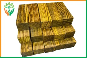 so sanhd cây đàn hương nepal và úc