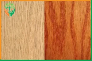 so sánh gỗ đàn hương trắng và đỏ