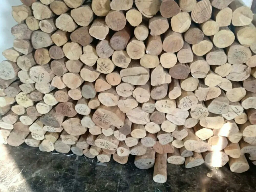 thị trường gỗ đàn hương