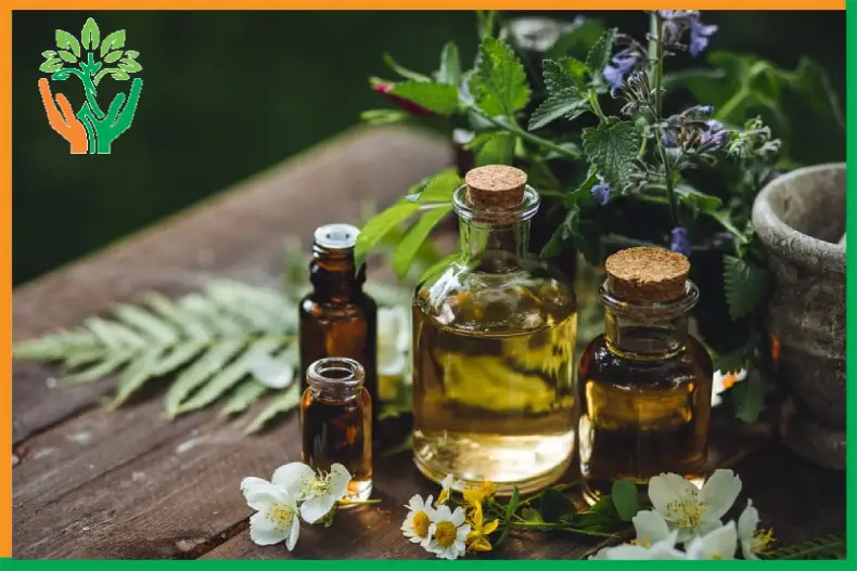 thị trường tinh dầu đàn hương ấn độ