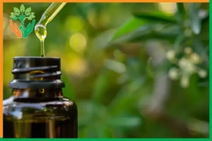 thị trường tinh dầu đàn hương tại hoa kỳ