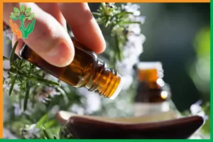 thị trường tinh dầu đàn hương tại Nhật Bản