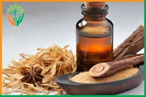 cách chiết xuất tinh dầu đàn hương