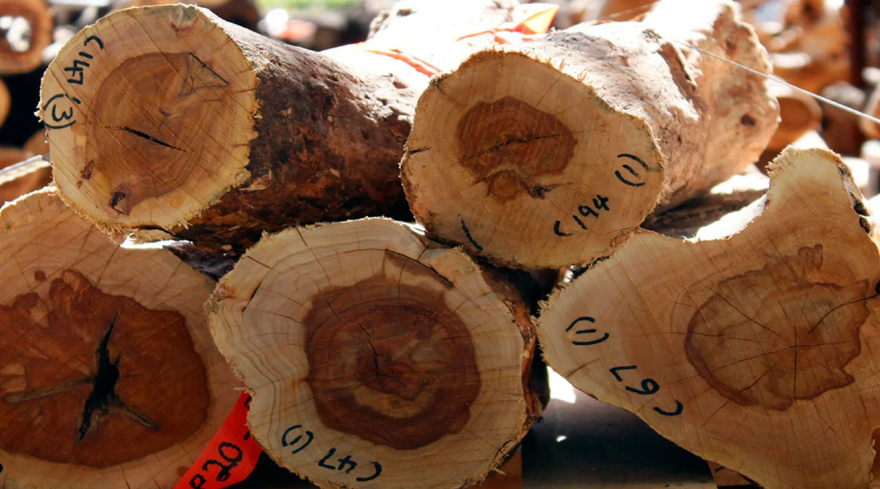 thương hiệu bán đàn hương uy tín