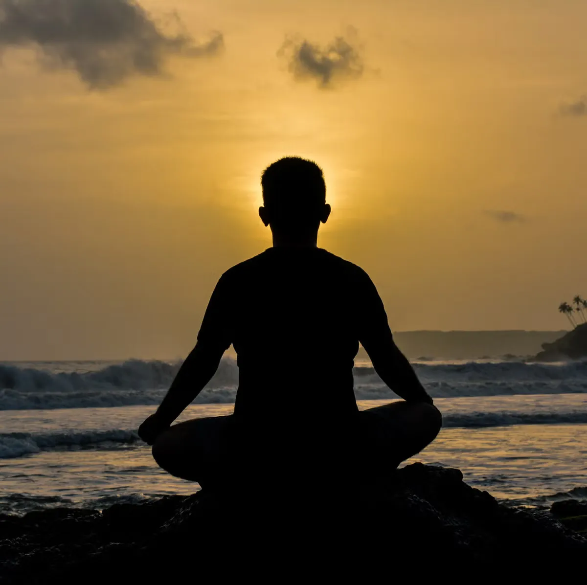 tinh dầu đàn hương dùng để thiền