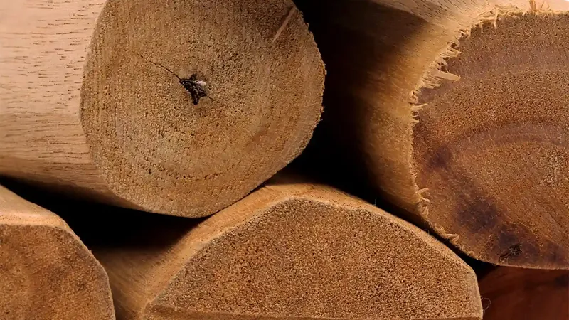 truy xuất nguồn gốc gỗ đàn hương