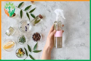 xịt thơm phòng mùi đàn hương