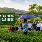 chiến dịch trồng 1tr cây đàn hương