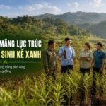 chiến dịch măng trúc lục