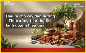 Bản đồ thị trường toàn cầu với các điểm kết nối, gỗ đàn hương và chai tinh dầu ở trung tâm, thể hiện thị trường tiêu thụ đàn hương rộng lớn