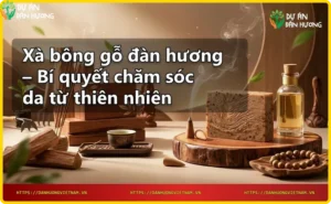 Bàn tay cầm xà bông gỗ đàn hương với bọt nhẹ, phía sau là gỗ và lá đàn hương