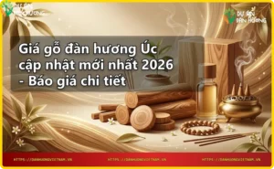 Bảng giá gỗ đàn hương Úc - Các mẫu gỗ đàn hương Úc với kích thước khác nhau