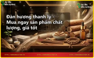 Bộ sưu tập sản phẩm đàn hương thanh lý đa dạng