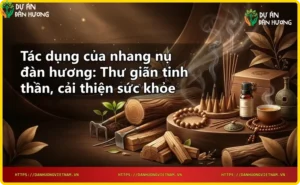 Các nụ nhang đàn hương trên khay gỗ cùng vụn gỗ và lá đàn hương