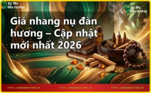 Các yếu tố ảnh hưởng đến giá nhang nụ đàn hương - chất lượng nguyên liệu