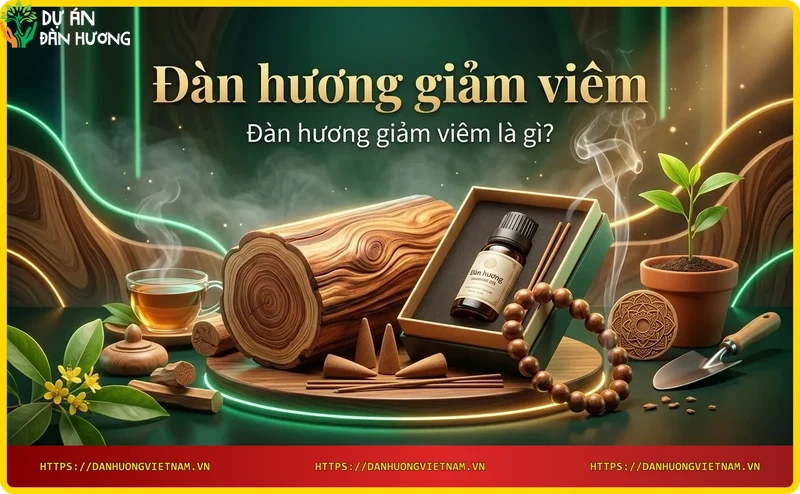Cấu trúc gỗ đàn hương và tinh dầu đàn hương giảm viêm, ánh sáng ấm, chi tiết sang trọng