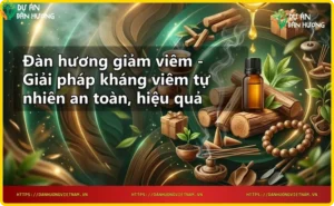 Cấu trúc gỗ đàn hương và tinh dầu đàn hương giảm viêm, ánh sáng ấm, chi tiết sang trọng