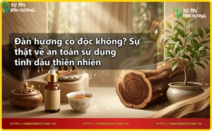 Cây đàn hương với thân gỗ và lá xanh