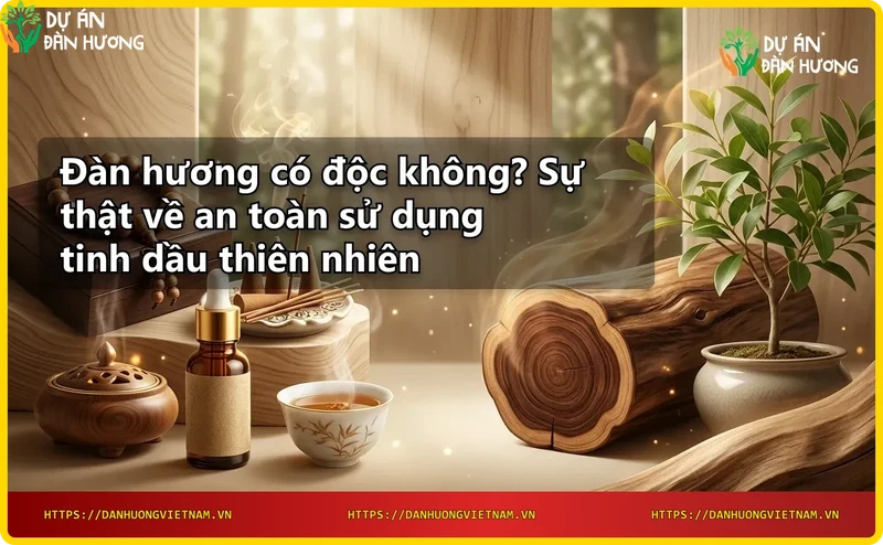 Cây đàn hương với thân gỗ và lá xanh