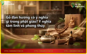 Cây gỗ đàn hương và ý nghĩa trong Phật giáo