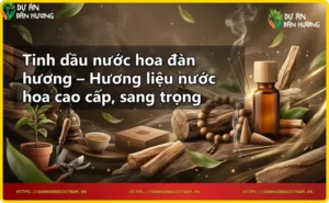 Chai tinh dầu nước hoa đàn hương nguyên chất với gỗ đàn hương