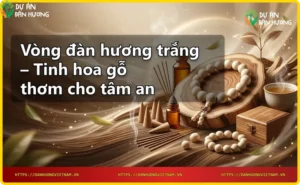 Chi tiết vân gỗ đàn hương trắng trên vòng tay